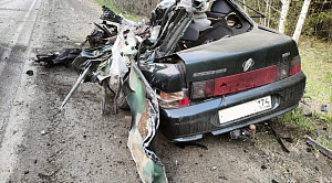 Водитель ВАЗа погиб после столкновения с грузовиком в Челябинской области