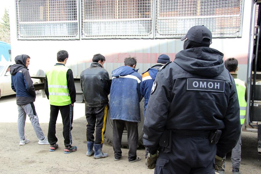Полиция нашла мигрантов-нелегалов среди сотрудников маркетплейса в Челябинска*