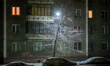 Бастрыкин разберется в ЧП с деревом, упавшим на ребенка в Магнитогорске