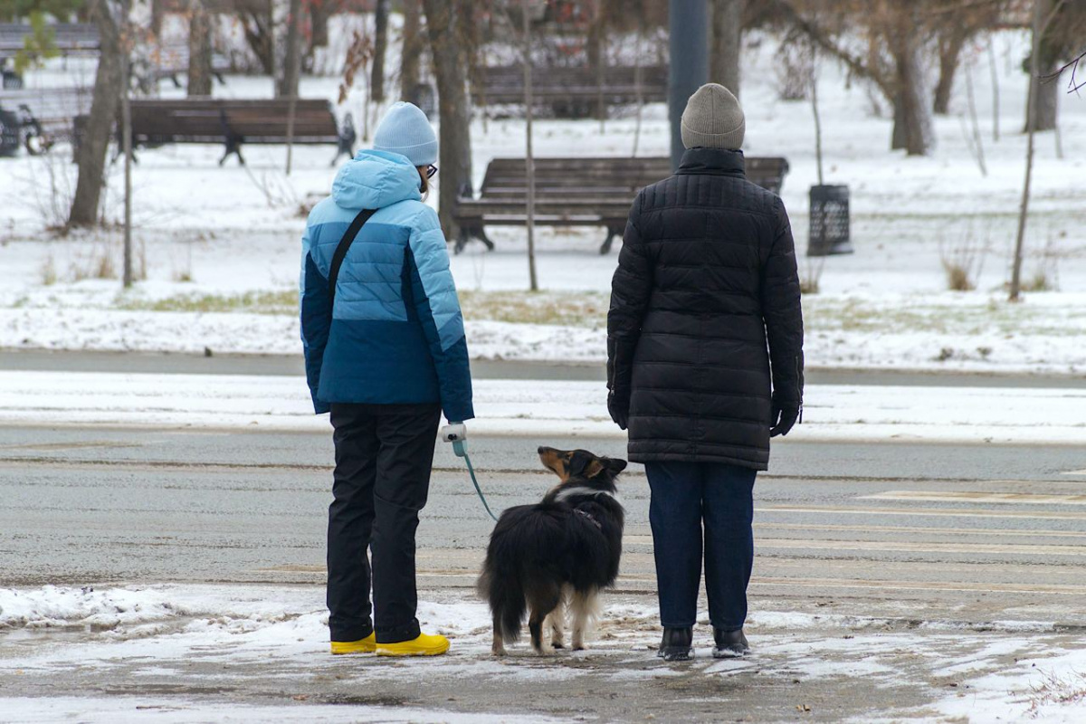 На Челябинскую область 1 ноября обрушится мокрый снег*1