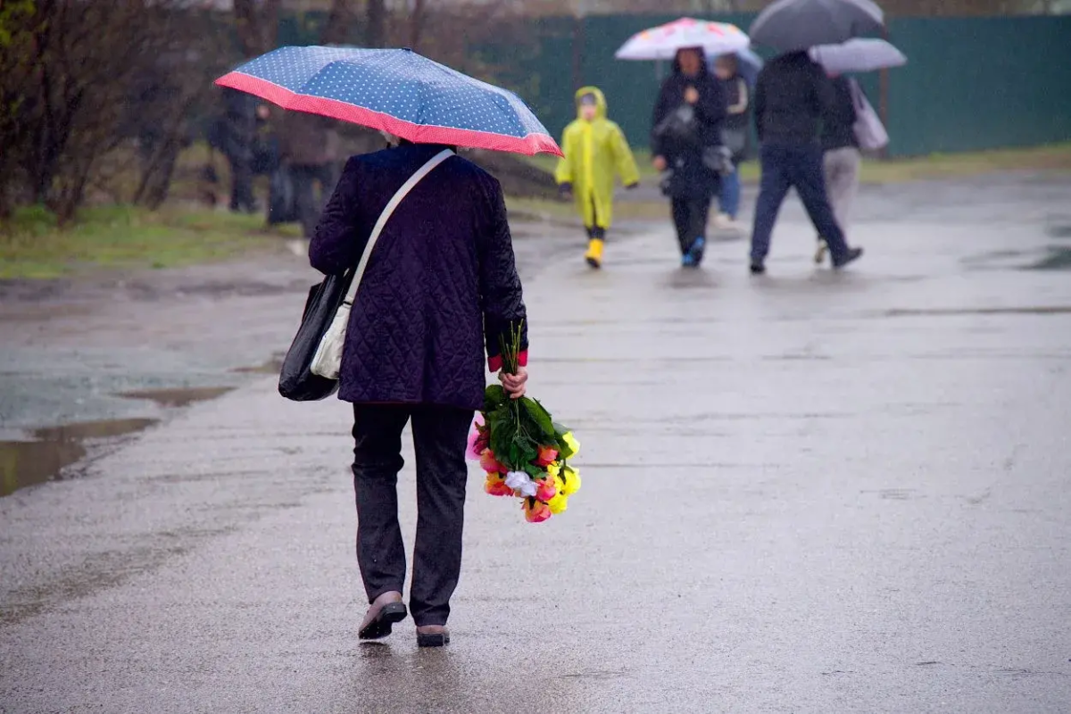На выходных в Челябинской области ожидаются дожди и потепление до +14 градусов*
