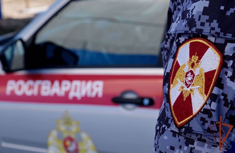 В Челябинске находившегося в розыске жителя Карелии задержали за кражу шоколада