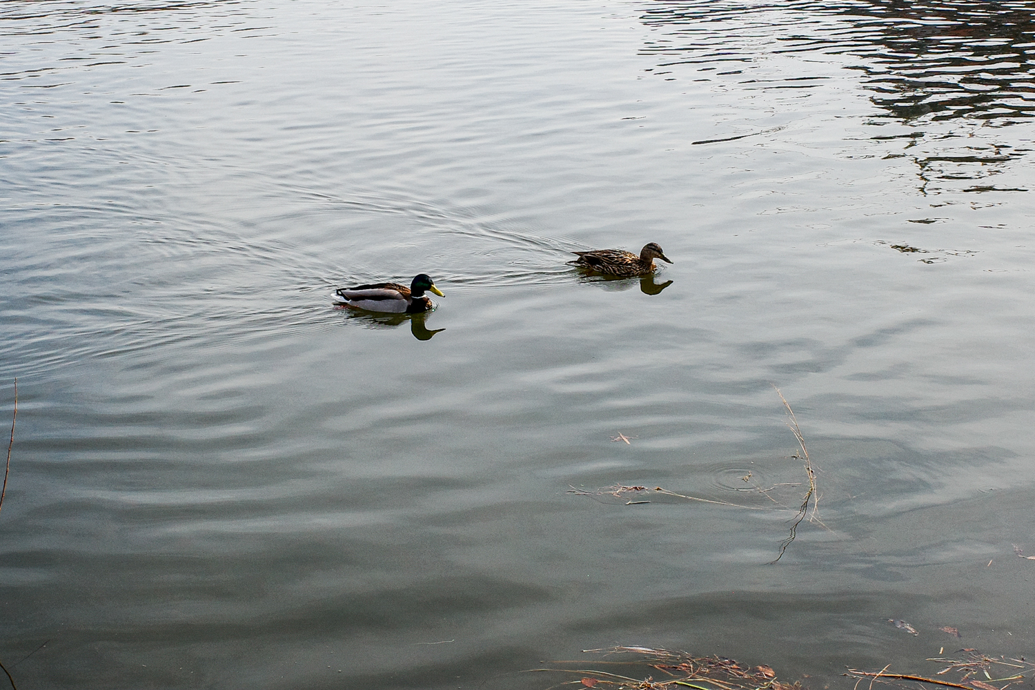 Челябинск потек: почему горожане радуются приходу «большой воды»