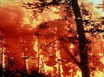 В Челябинской области продолжают гореть леса
