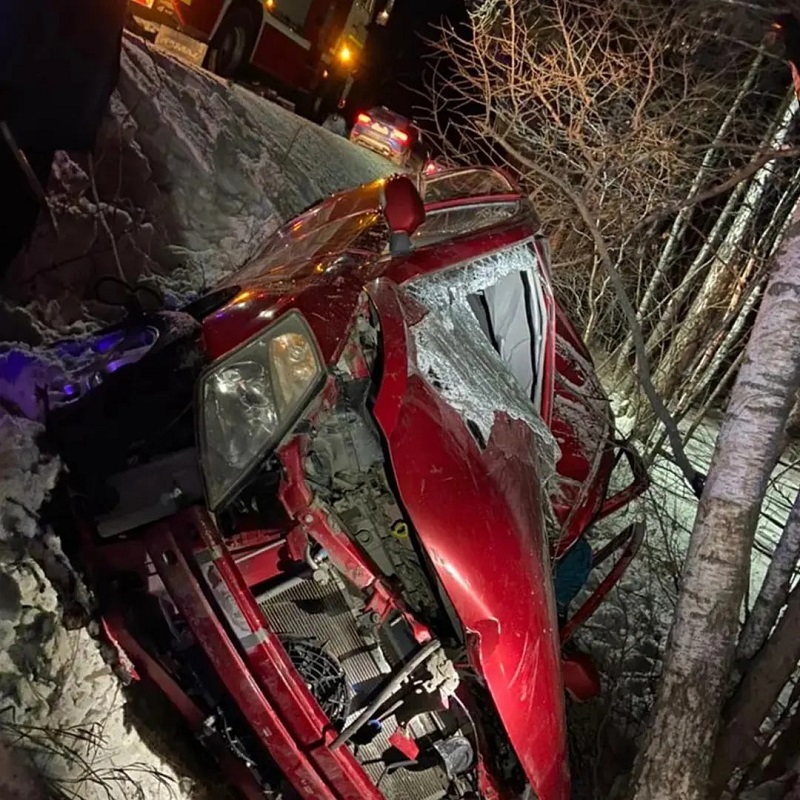 В Челябинской области водитель погиб в столкновении с деревом