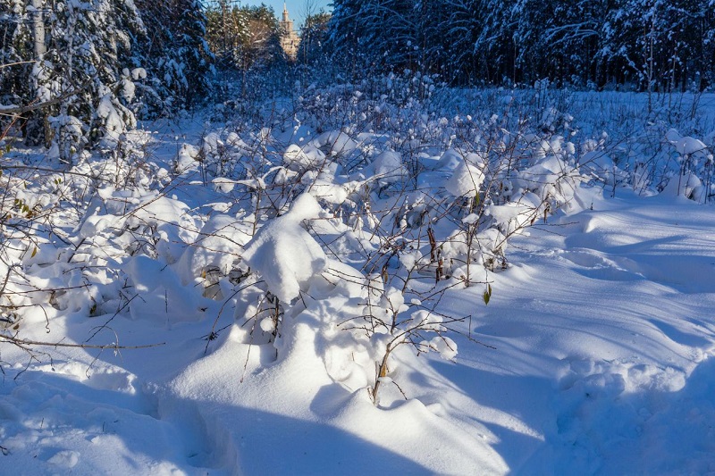 В первый день зимы столбик термометра упадет до -27 в Челябинской области