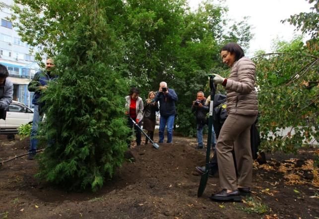 Важно участие экспертов после высадки зеленых насаждений в Челябинске*1