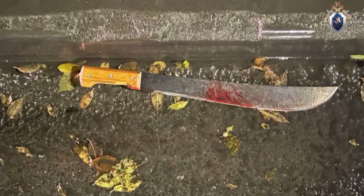 Челябинец с мачете изрезал мужчину и женщину возле подъезда*