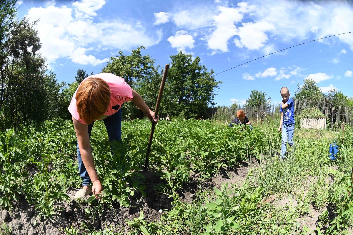 Эксперты посчитали за сколько можно купить садовый участок в Челябинской области