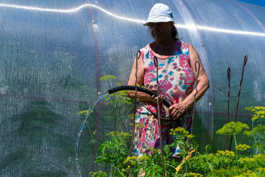 Челябинским садоводам запретили работать на грядках в жару*1