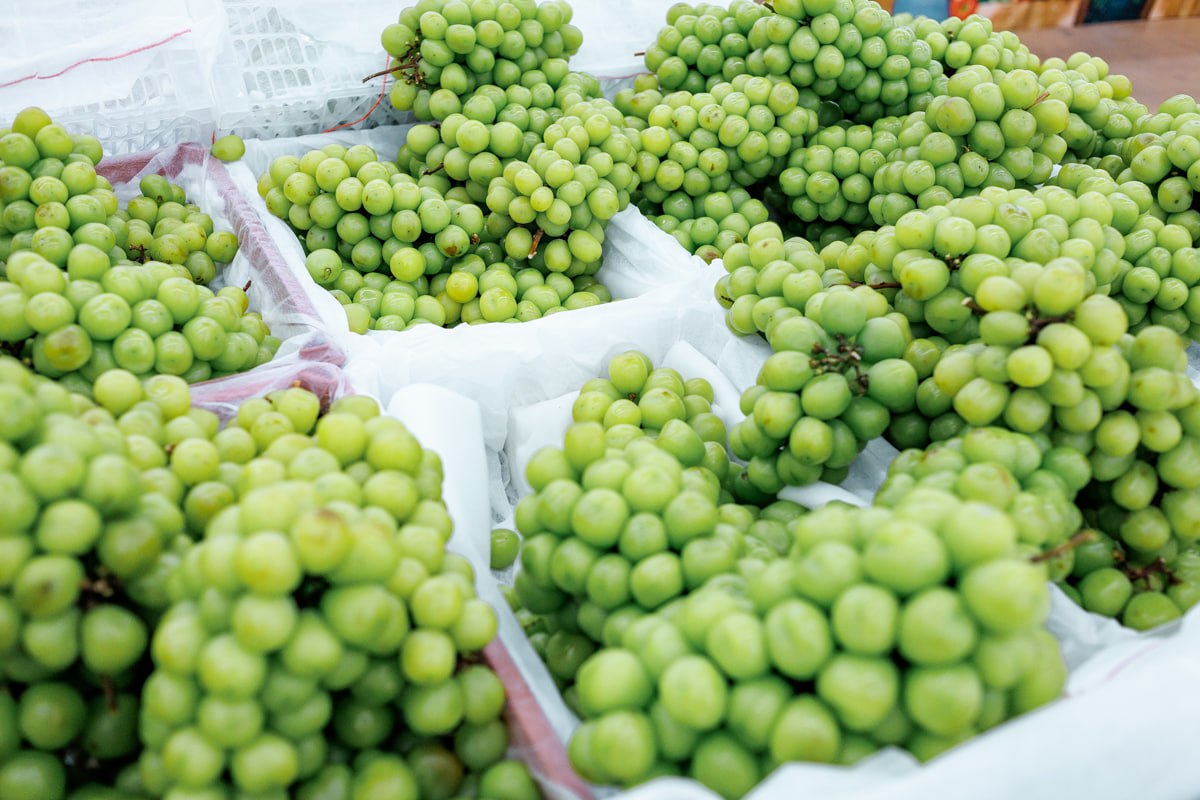 В Челябинскую область не пустили более 19 тонн винограда из Китая*1