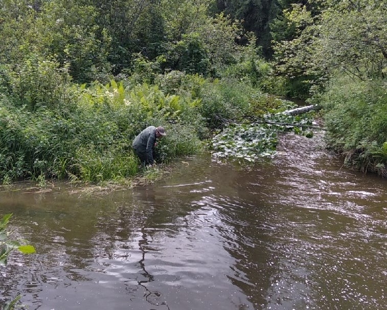 Водяной в реке