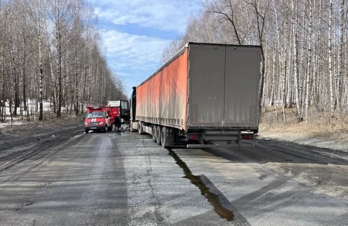 Бастрыкин потребовал доклад по жуткому ДТП с маршруткой под Саткой*1