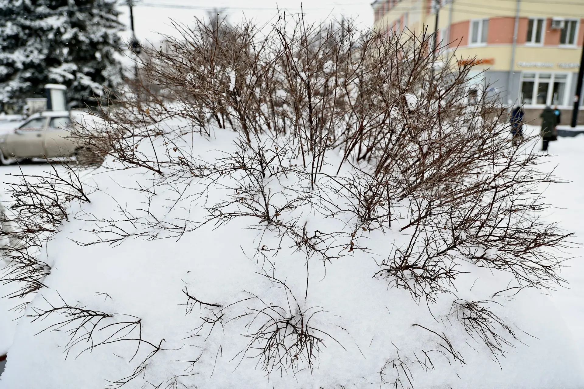 Погода держит в тонусе: в Челябинске продолжается борьба с сугробами