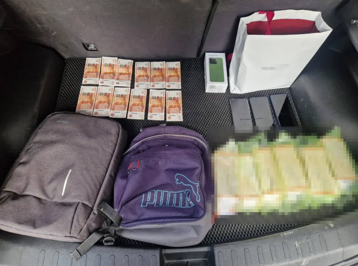 Силовики помешали мошеннику забрать 30 миллионов рублей у челябинки*1