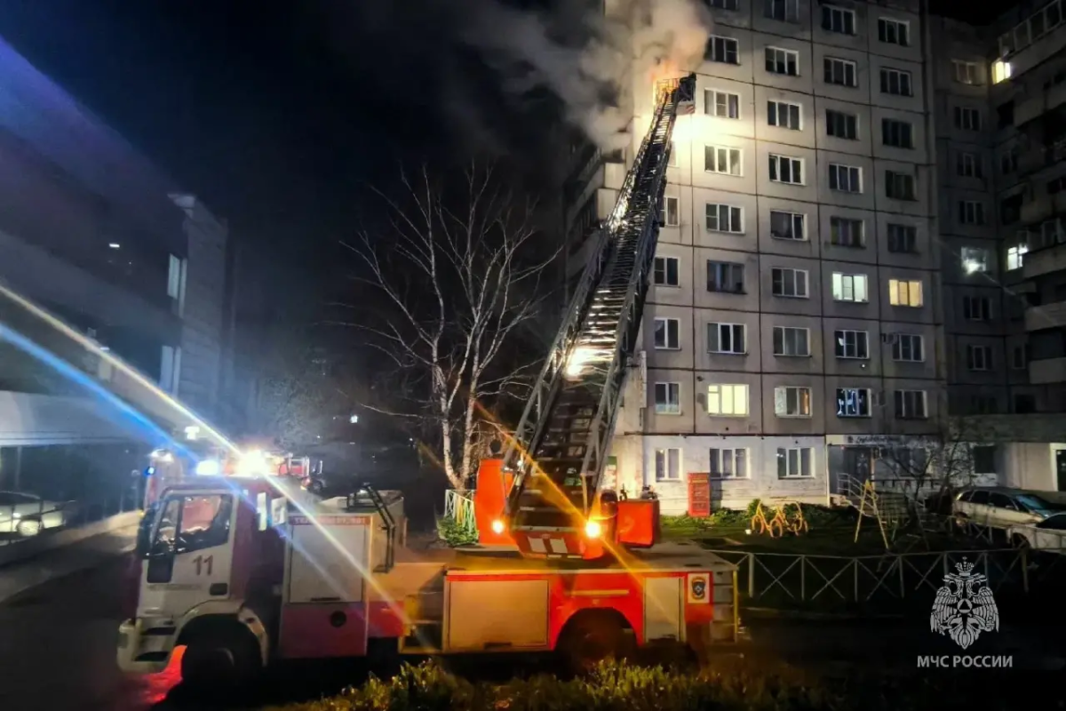 Пожарные спасли пятерых человек из загоревшейся квартиры в девятиэтажке Челябинска*