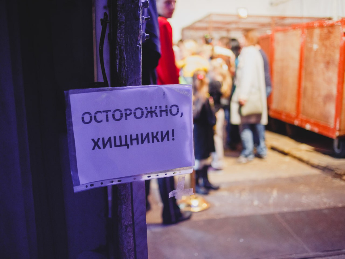 Решетки исчезли с вольеров больших кошек в Челябинском зоопарке*1