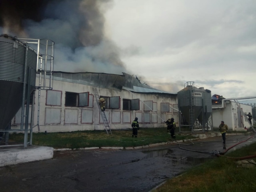 Пожарные сообщили детали ЧП на птицефабрике под Челябинском