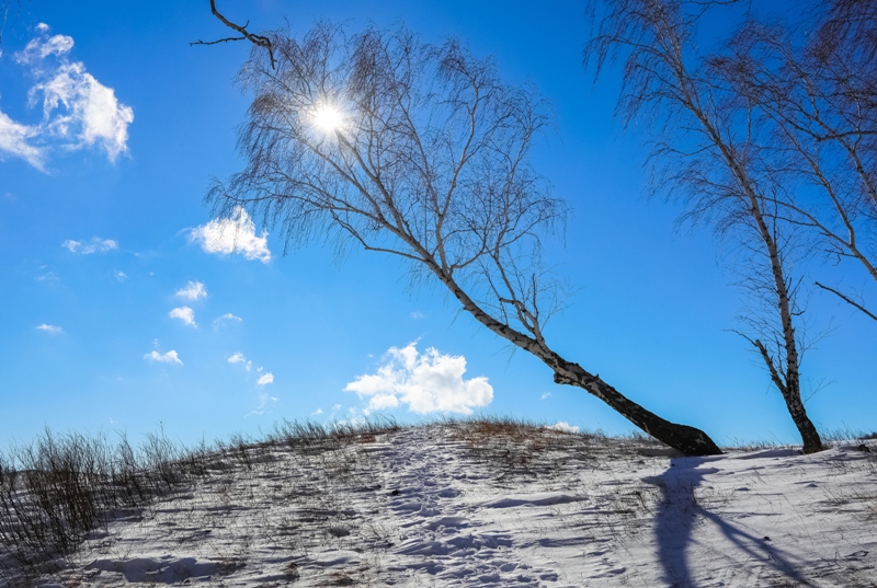 В Челябинской области синоптики прогнозируют снег, метель и ветер*1