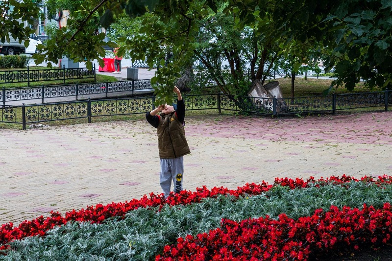 В Челябинской области синоптики обещают заморозки до -2 градусов