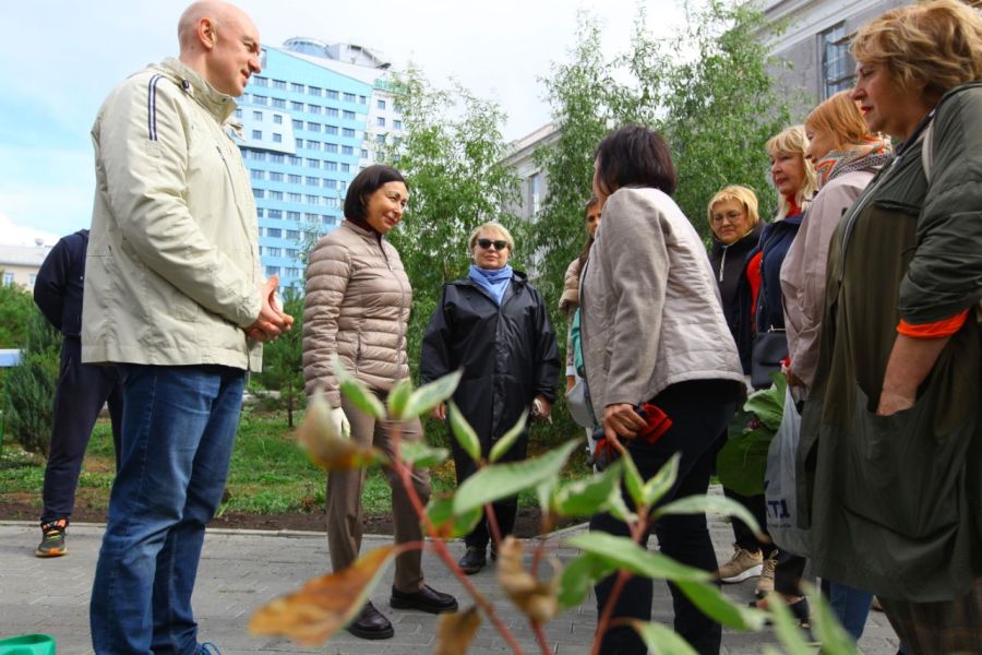 Более 600 деревьев заменят в Челябинске по гарантии*1