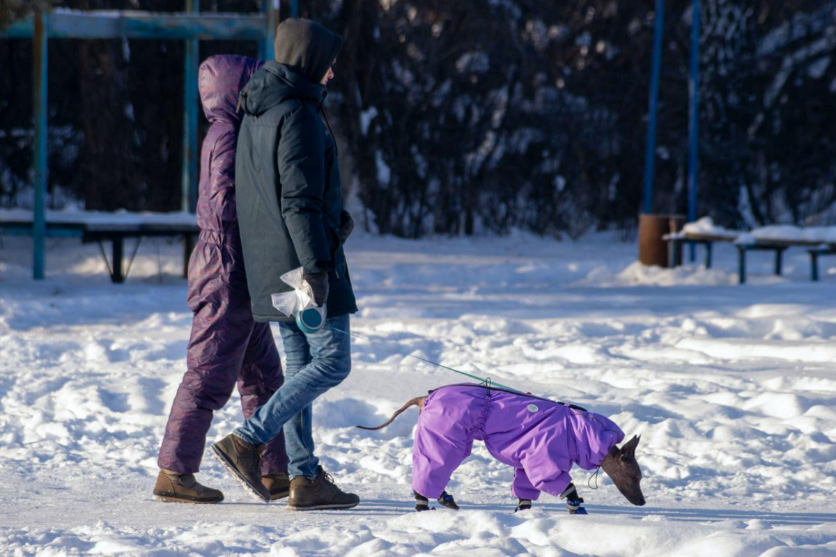 Следующие длинные выходные будут у челябинцев в феврале*1