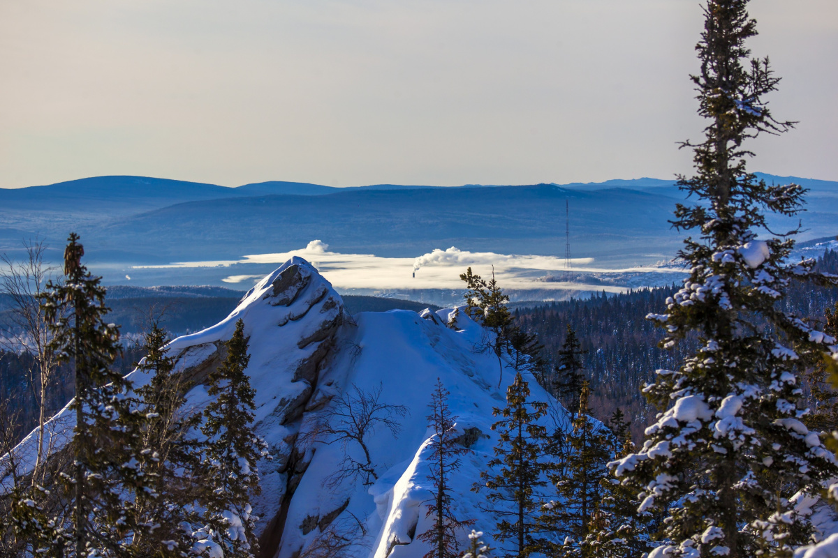 Спящие красавицы проснулись: бабочки на Таганае открыли глаза раньше срока*