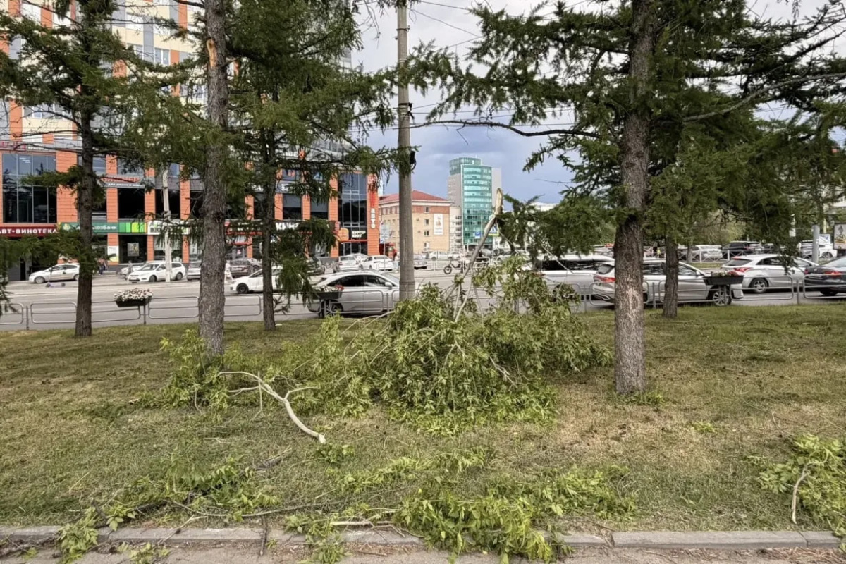 В Челябинске оперативно начали устранять последствия ураганного ветра*