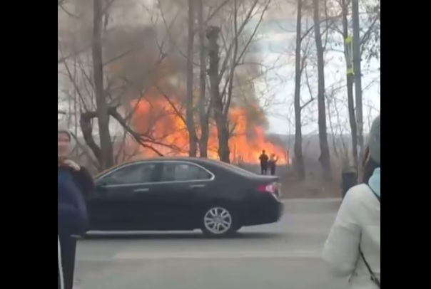 На берегу озера в Челябинске произошел крупный пожар