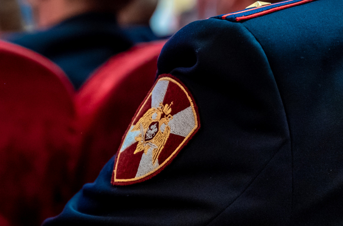Боевую гранату обнаружили рядом с гаражами в Челябинске*1