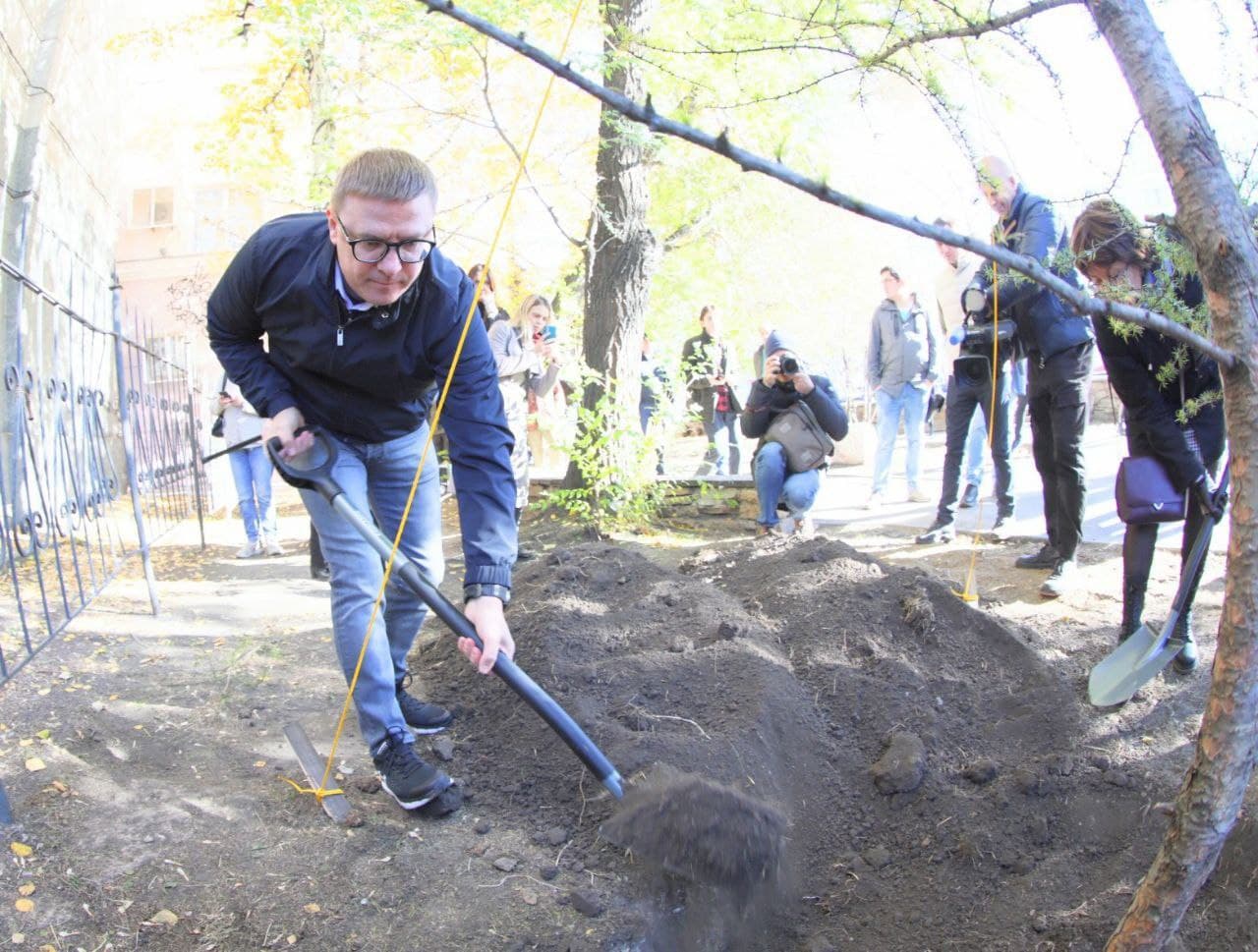 Алексей Текслер восстановил популяцию даурских лиственниц в Челябинске