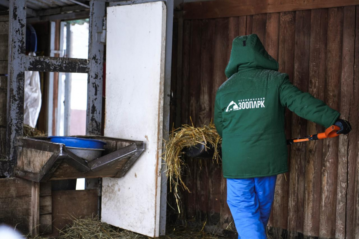 Челябинский зоопарк будет закрыт 31 декабря и 1 января*