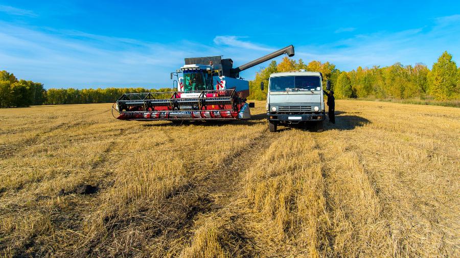 Пострадавшим от засухи челябинским фермерам выделят 500 млн рублей