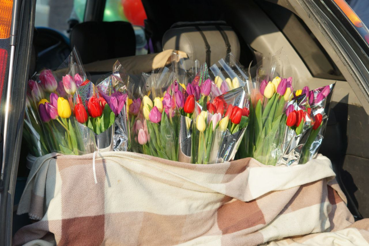 Опрос: 59% челябинцев считают цветы лучшим подарком на 8 Марта*