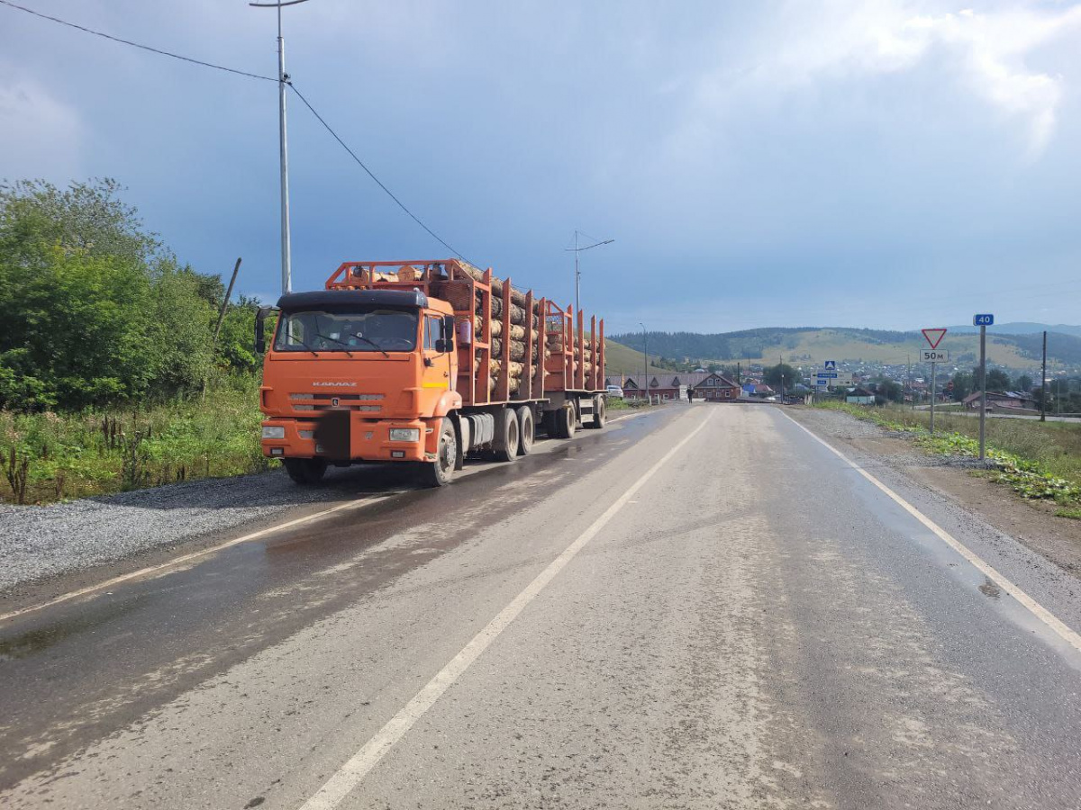 В Челябинской области задержали КамАЗ с 30 кубами нелегальной древесины*