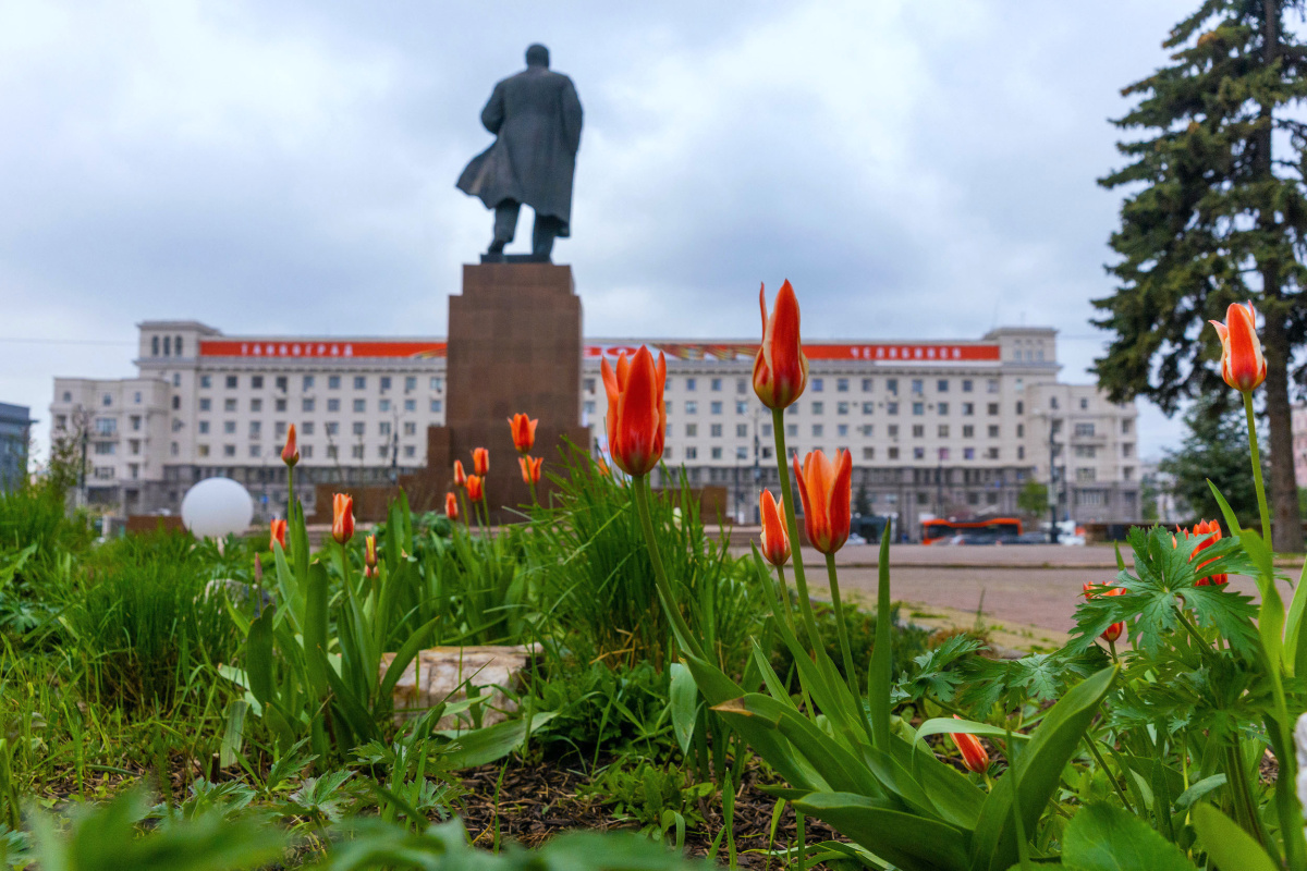 Рядом с Лениным в Челябинске этим летом зацветут колеусы и сальвии*
