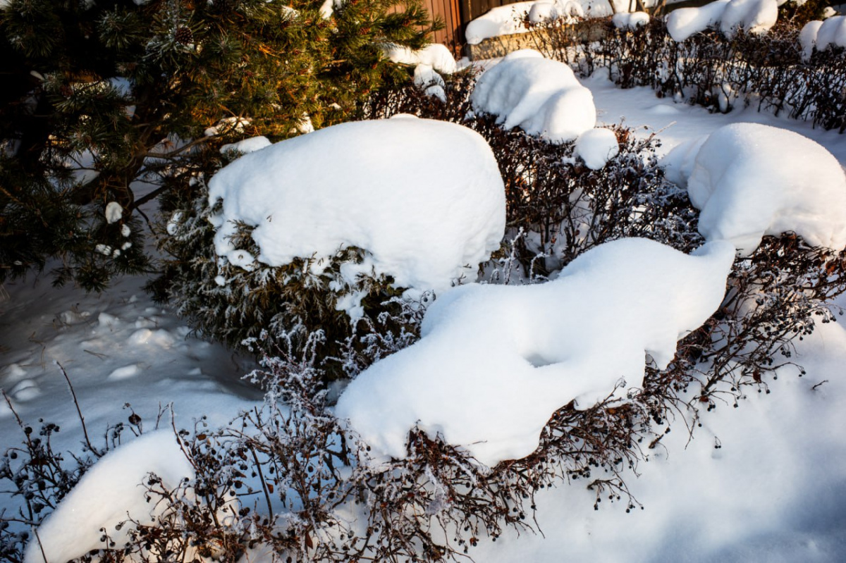 Сугробы выше 30 сантиметров намело в Челябинской области*1