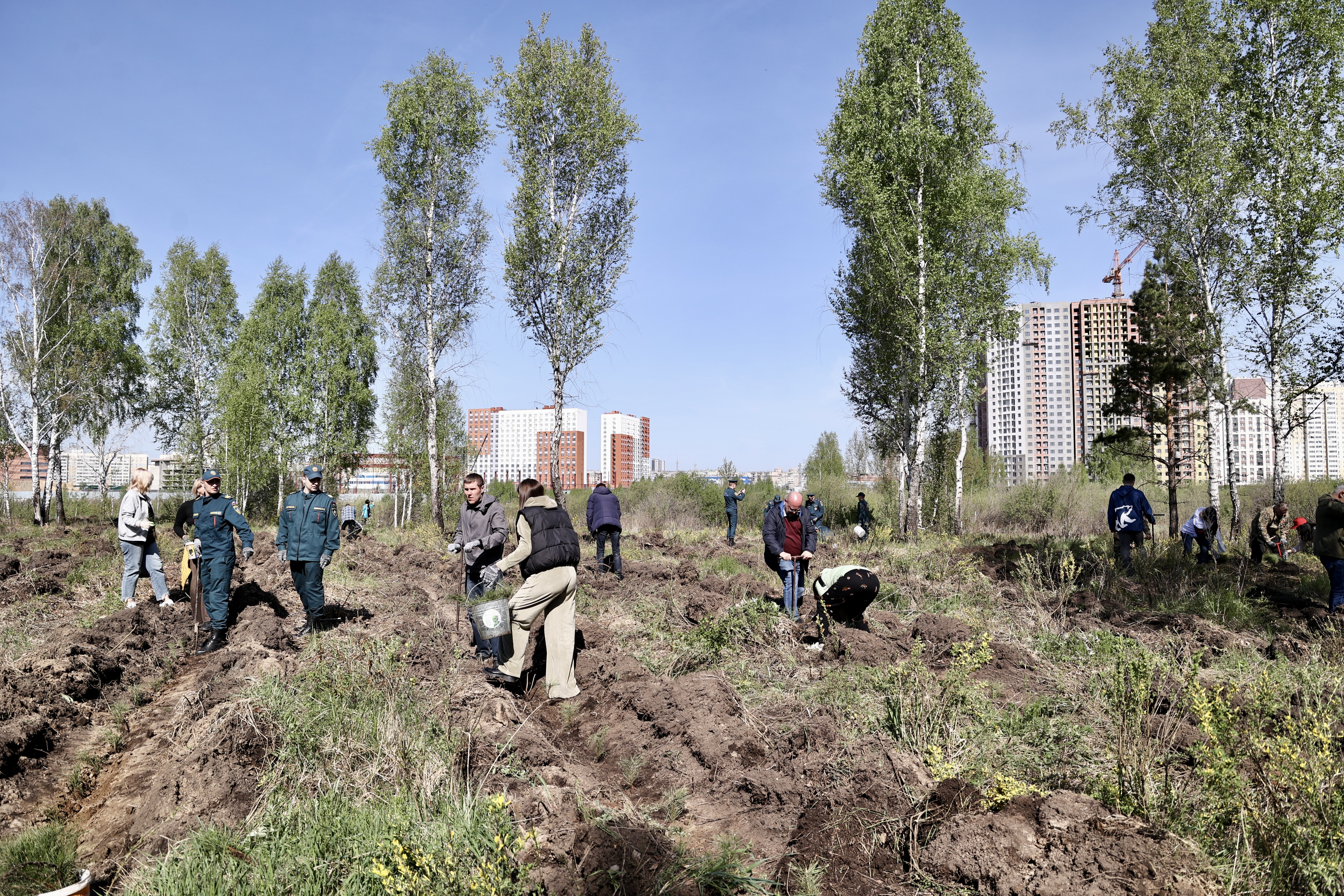 Сосновый строй заступил на вахту памяти и чистого воздуха в Челябинске