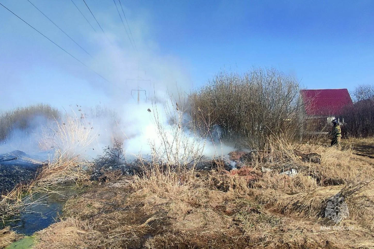Крупный ландшафтный пожар подобрался к СНТ в Челябинске*