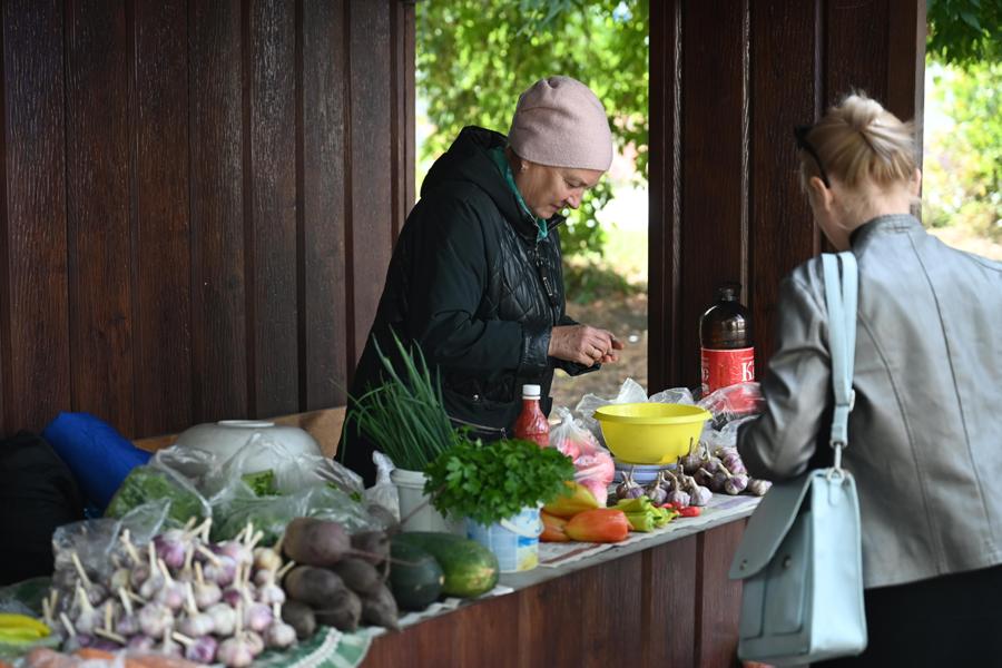 В Челябинской области подешевели овощи, телевизоры и путешествия