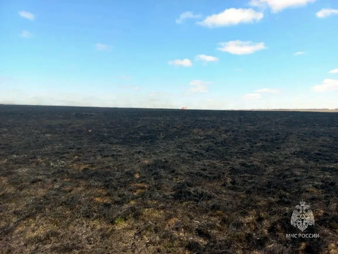 Крестовый поход против жуков: пастух под Троицком выжег два гектара травы*