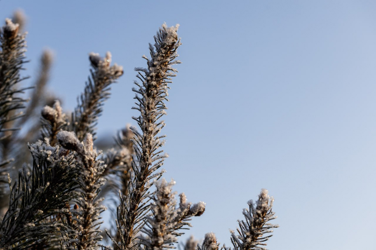 В Челябинской области резко потеплеет к воскресенью*