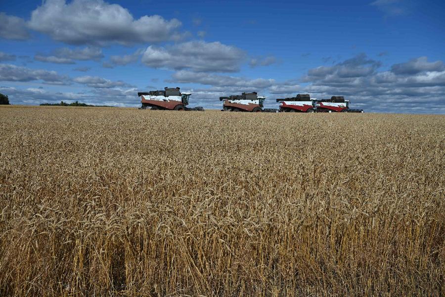 Уральские аграрии собрали почти 2,5 млн тонн зерна