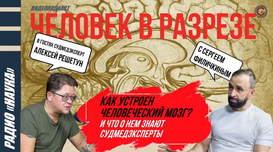 Можно ли по мозгу человека определить пол, заболевания и уровень интеллекта*