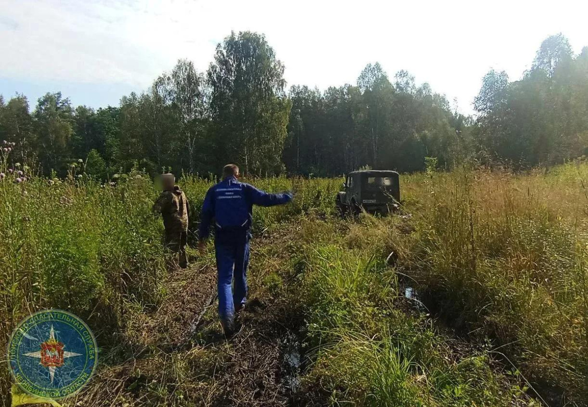 Ягодные поляны заманили пенсионера в глухую чащу под Кыштымом*
