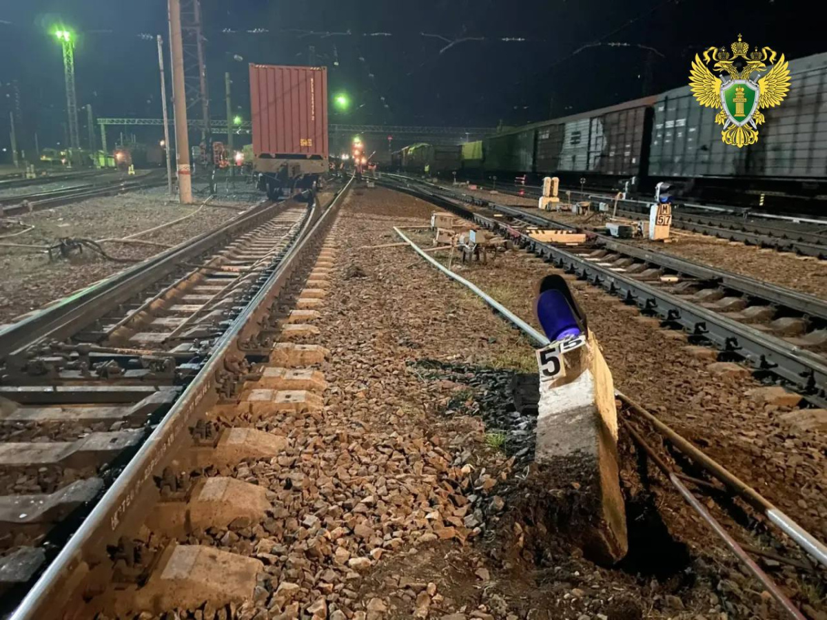 Вагон со стройматериалами сошел с рельсов на станции в Челябинской области*1