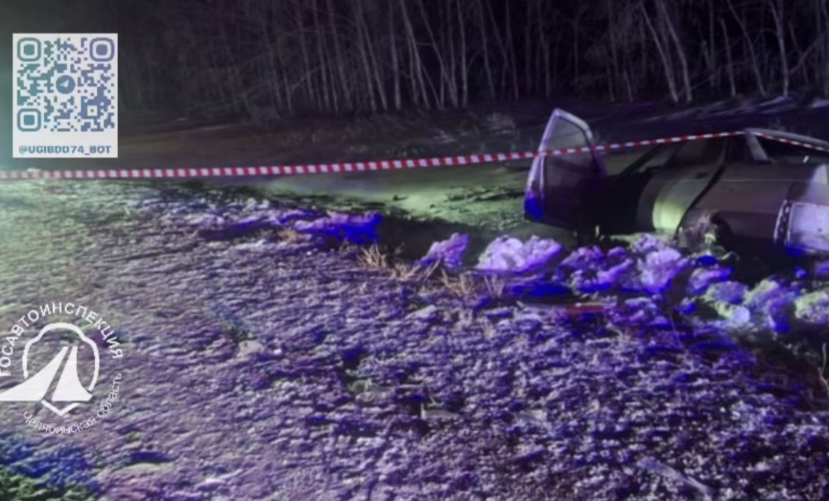 Два человека погибли и четверо пострадали при обгоне в Челябинской области*