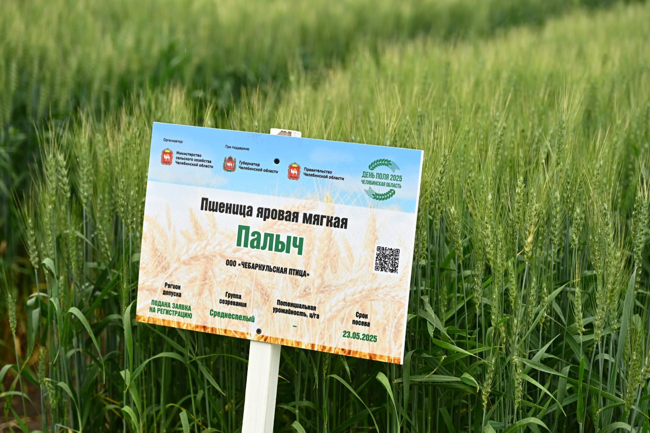 На открытии «Дня поля – 2025» Текслер заявил о важности продуктового суверенитета