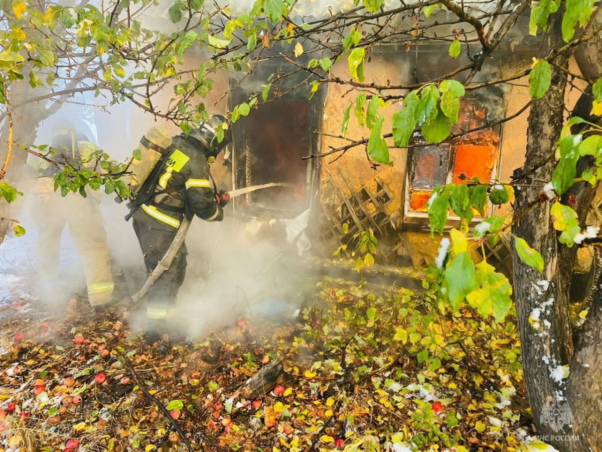 Мужчина сгорел вместе с деревянным домом в Челябинской области*