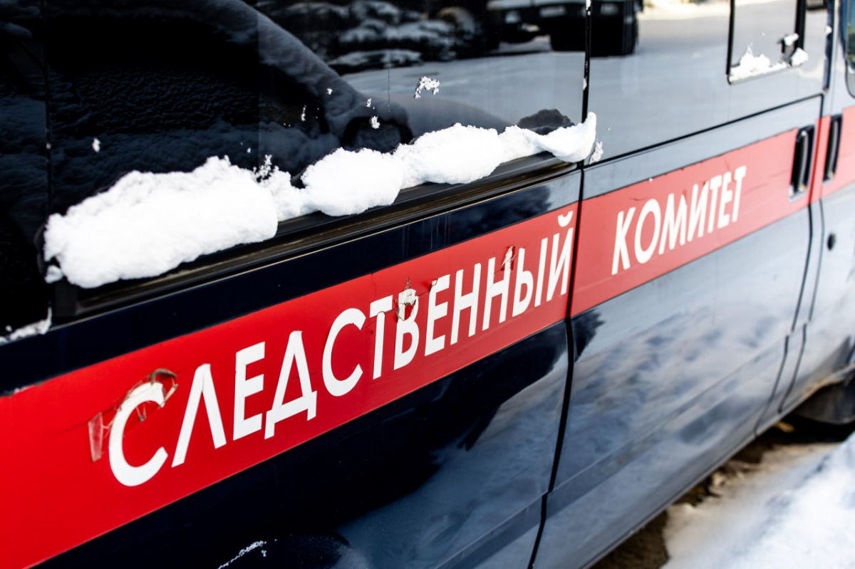 Магнитогорца задержали за жестокое убийство знакомого в СНТ*1